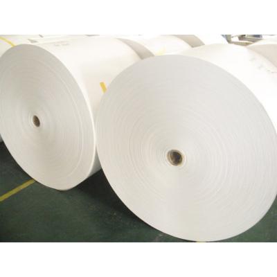 China Waterproof pe coated paper roll for food grade paper cups from raw material direct sales for sale