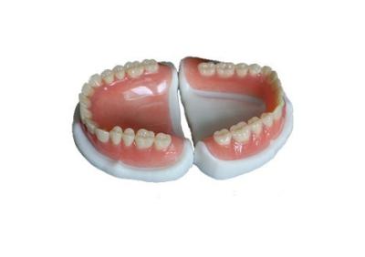 China Removable All Acrylic Partial Denture Natural Looking Easy To Maintain for sale