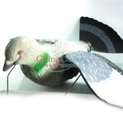 China simulation animal EVA plastic pigeons decoy for hunting 1216 for sale