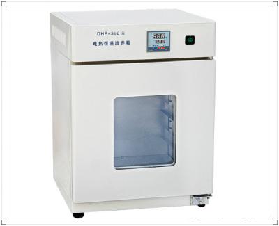 China Electric heated constant temperature incubator for sale