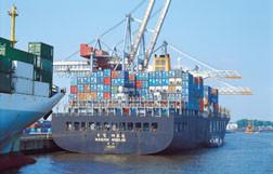 China Guangzhou To Dunkerque Sea Shipping Forwarder Services BY Container for sale