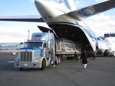 China Professional Air Shipping from Shenzhen/Hongkong/Shanghai/Beijing/Guangzhou to Los Angeles for sale