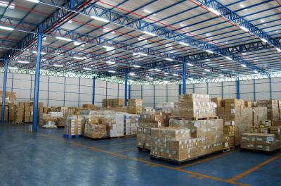 China FBA Amazon Shipping Forwarder to Belgium Every week FCL & LCL & DDU & DDP & Express for sale