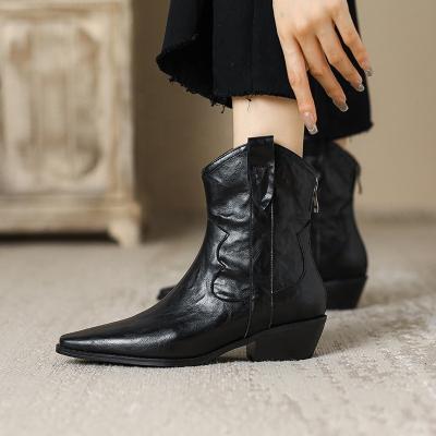 China Fashion Trend China Manufacturer Winter Lady Shoes Chunky Low Heels Pointed Toe Zipper Up Solid Color Women Ankle Boots for sale