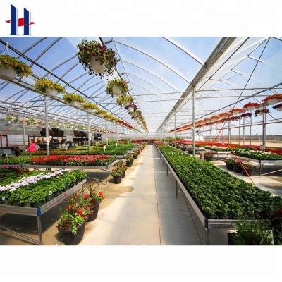 China ZHAOHONG Modern Light Steel Frame Structure Vegetable / Flower Greenhouse for sale