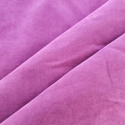 China Nylon Mixed 75D*160D 115gsm Poly Microfiber Fabric Comfortable for sale