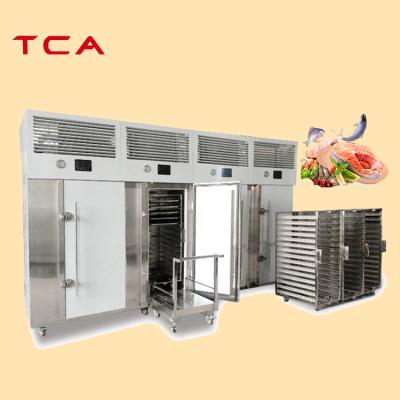 China Small iqf Hotels Industrial Blast Freezer Fish Fruit Chicken Meat Blast Chiller Freezer for sale