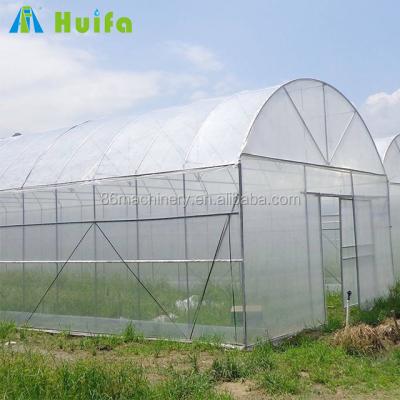 China 2021 Modern Structure And Appearance Simple Span Stable Natural Ventilated Agricultural Greenhouse for sale