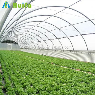 China Stable Structure And Modern Appearance High Quality Plastic Single Span Shed Vegetable Greenhouse for sale