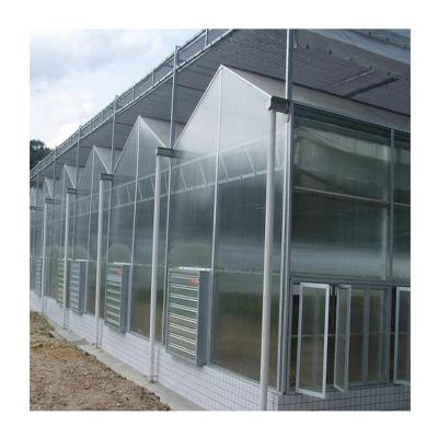 China UV Resistant 10 Mm Polycarbonate Greenhouse Hemp Venlo Greenhouse for sale