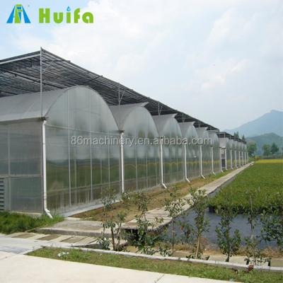 China Greenhouse Seedling Growing Multi Span Plastic Film Gutter Connected Greenhouse Made In China for sale