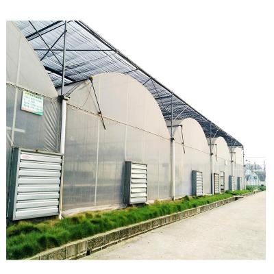 China Economical And Natural Ventilation Multi Span Commercial Plastic Sheet Greenhouse For Agricultural Sale for sale