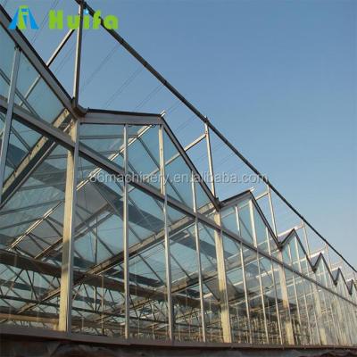 China UV Resistant Multi Span Galvanized Glass Tube Steel Frame Venlo Greenhouse for sale