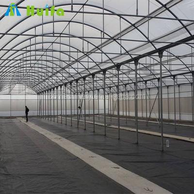 China Greenhouse Seedling Growing Chinese Top Passive Solar Ventilation Structure Galvanized Tube Greenhouse for sale