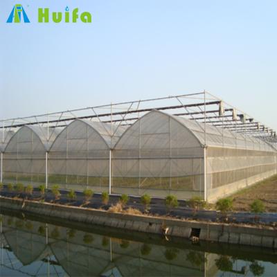 China Greenhouse Seedling Plant Growing Modern Agricultural Commercial Green Tomato Strawberry Hous Metal Frame Green House Hydroponic Greenhouses for sale