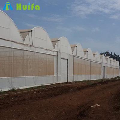 China Greenhouse Seedling Growing Vegetable Greenhouse Solutions Hidroponics Greenhouse Gutter Netting for sale