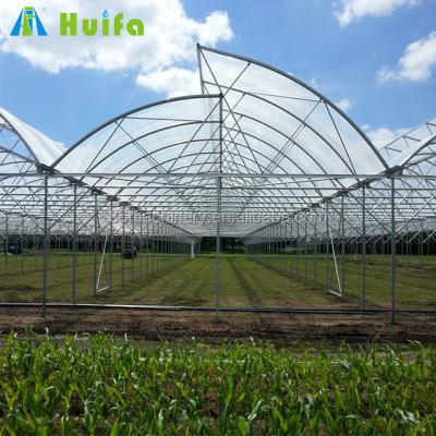 China Stable structure and modern appearance 30x10m agriculture multi-span plastic hydroponic greenhouse for sale for sale