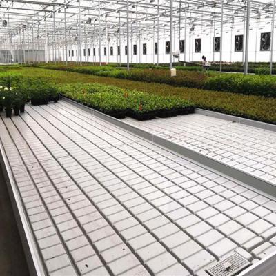 China Wear Resistance Greenhouse Seed Trays Rolling Green House Bench Seeding Bench For Greenhouse for sale