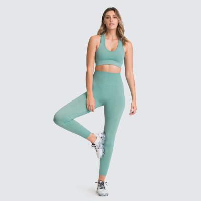 China Anti-Wrinkle Sports Ladies Leggings Yoga Set Women Seamless Sports Wear Sportswear Seamless Set for sale