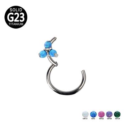 China Fashion G23 Trendy Ear Titanium Nose Piercing Hinged Segment Clicker Circle Ring Wholesale Price for sale