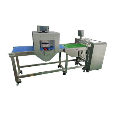 China DIKAI WF420 automatic food paging machine conveyor with conveyor for sale for sale