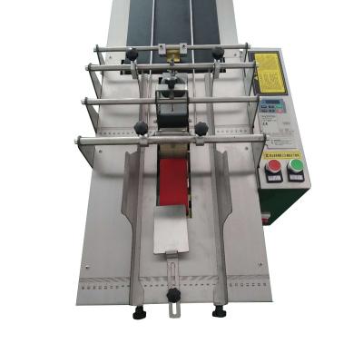 China Food DIKAI WFM220 Automatic Plastic Bag Feeder Conveyor Labeling Machine for sale