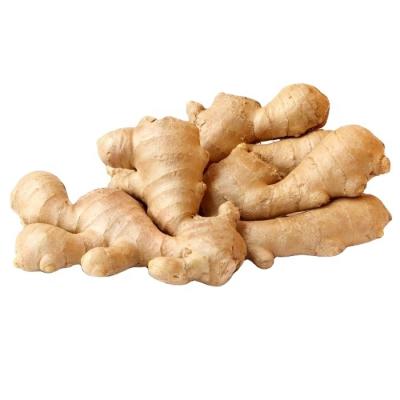 China AIR DRIED GINGER for sale