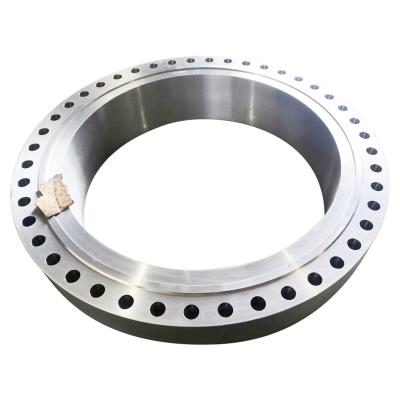 China Aeolian Generator OEM Customized Heat Treatment Stainless Steel Forged Threaded Pipe Fittings Flange for sale