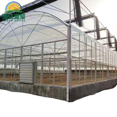 China Vegetable Fruits Flowers Multi-span Greenhouses Plastic for sale