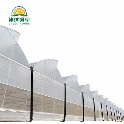 China Running Fast Commercial Green House Hydroponic Multi-span Plastic Sheet Agricultural Greenhouse Fruits Vegetable Flowers for sale