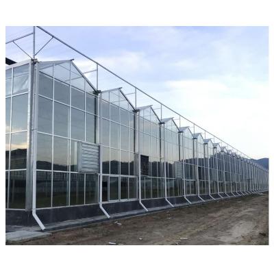 China Vegetable Cheap Glass Greenhouses For Sale for sale