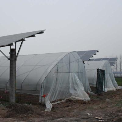 China Fruit Flowers Solar Power CSP Vegetable Greenhouse With Solar Panel System For Sale for sale