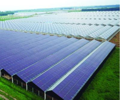 China Fruit Plant Flowers Photovoltaic Solar Greenhouse For Sale for sale