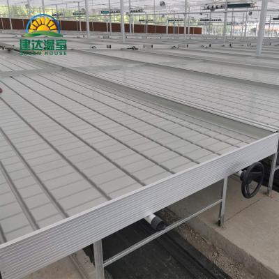 China Fruit plant flowers rolling benches drop and flood tray tobacco seedling for sale