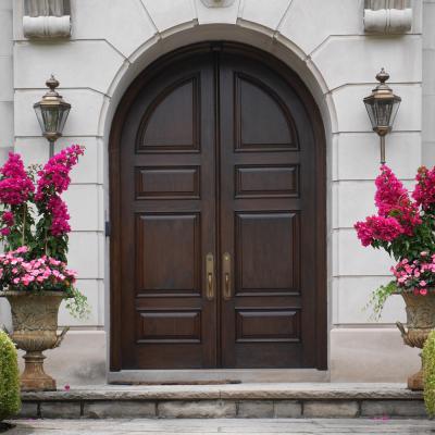 China Swing Arch Entry Door High Quality Extorier Solid Wood Door for sale