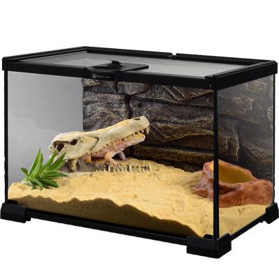 China Wholesale Tropical Reptile Cylinder Life Reptile Mini Greenhouse Pet Glass Cages Rainforest Windproof BT-01 for sale