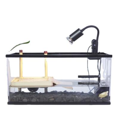 China ZJDS-G Viable L Ecological Reptile Habitat Rainforest Pet Explosion Proof Glass Tank for sale