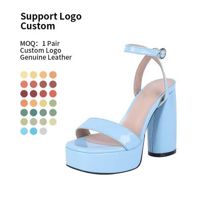 China Trending Casual Women Shoes Sandalias De Verano Custom Logo Shoes Women New Product Styles 2023 Fashion Trend Lodging Summer Platform Sandals for sale