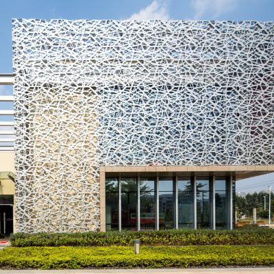 China China Supplier  Powder Coating  Decorative Aluminum Perforated Metal  Mesh Ceiling Panel for sale