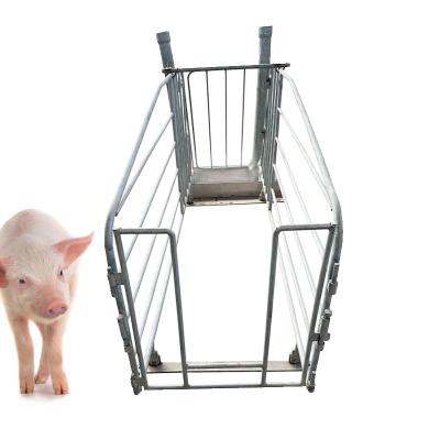 China Durable European Type High Quality Pig Farm Equipment For Home Use Galvanized for sale