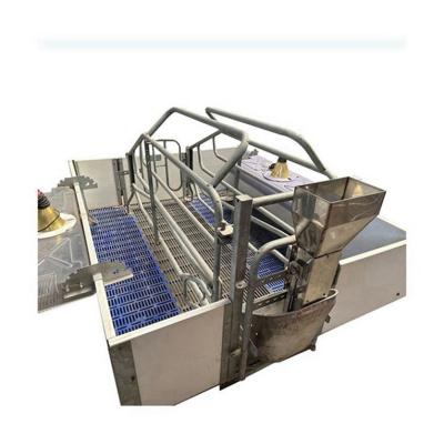 China Durable Low Price Hog Pen Modern Stall Equipment Farrowing Crate For Hog Piglets Equipment for sale