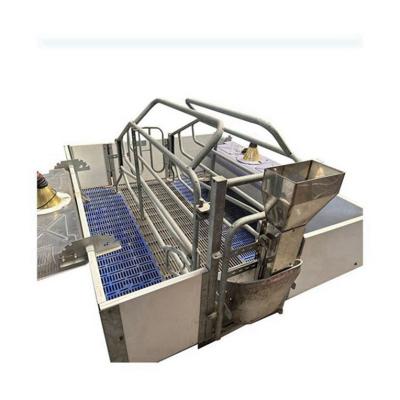 China Durable animal cages farrowing crates for pig farming equipment farrowing crate for sale for sale