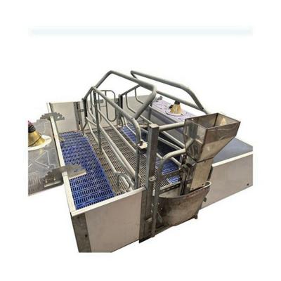 China Durable Animal Equipment Farm Birth Cage Pig European Type Double Gestation Crate for sale