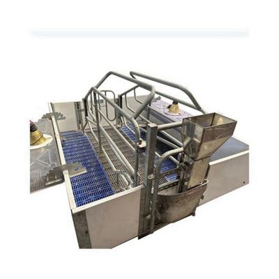 China Good durable pigs crate and piglets sale farrowing supply in equipment for sow production bed for sale