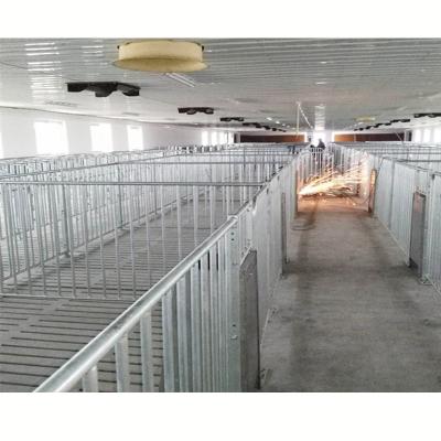 China Property Other Pen Crate and Stall in Pig Farm Equipment for sale