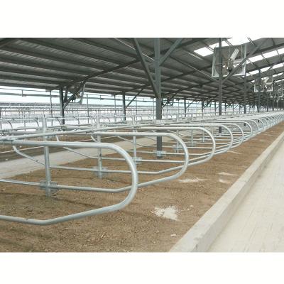 China Durable Hot Dip Galvanized Cattle Lying Bed For Cattle Farm Equipment for sale