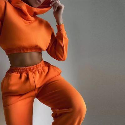 China Autumn Two Piece Hoodie Women's Sale Sweatsuit Pants Two Piece Set Women's QUICK DRY Warm Tracksuit Long Sleeve Set for sale