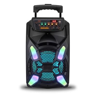 China No New Arrival Portable Outdoor Speaker 8 Inch Multifunctional Speaker With Low Price for sale