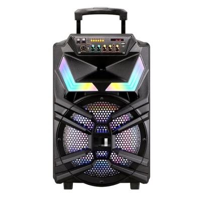 China No Speaker System High Quality Multifunctional Trolley Portable Trolley Speaker for sale