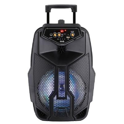 China No Speaker High Quality 8 Inch Portable Trolley Speaker With Remote Control for sale